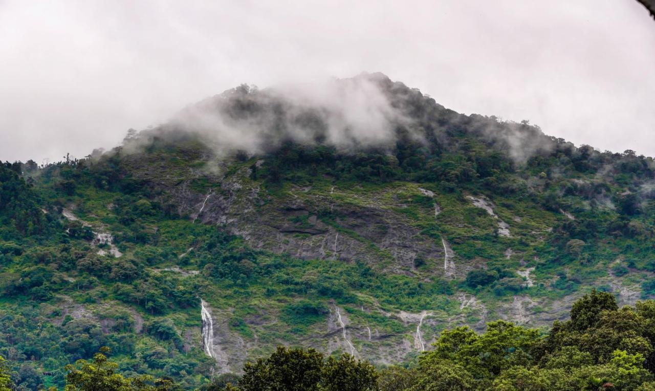 Treebo Trend Misty Garden Resorts With Mountain View ムンナール エクステリア 写真