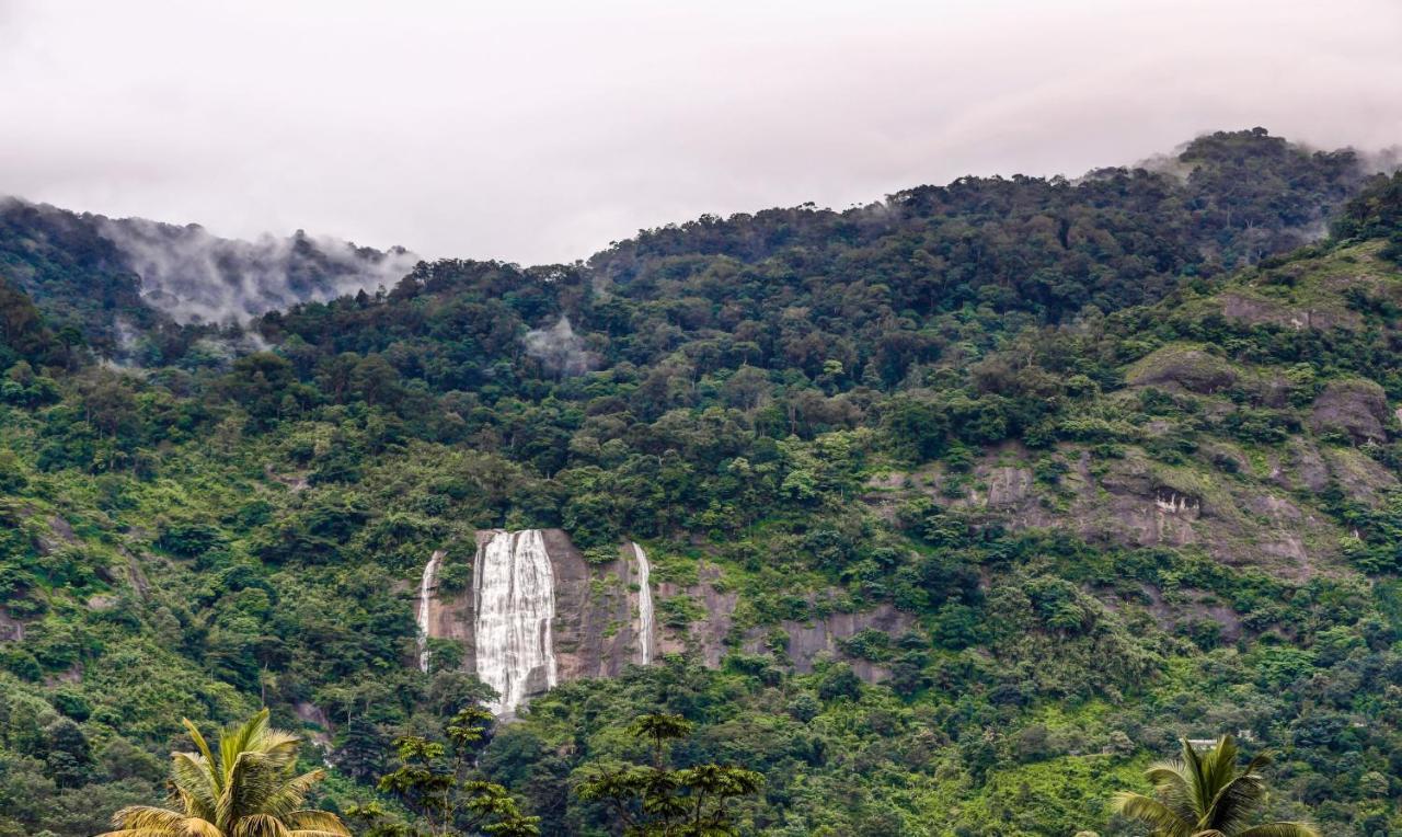 Treebo Trend Misty Garden Resorts With Mountain View ムンナール エクステリア 写真